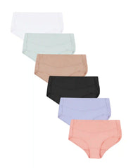 Hanes Women's Microfiber Smooth Brief 6-Pack